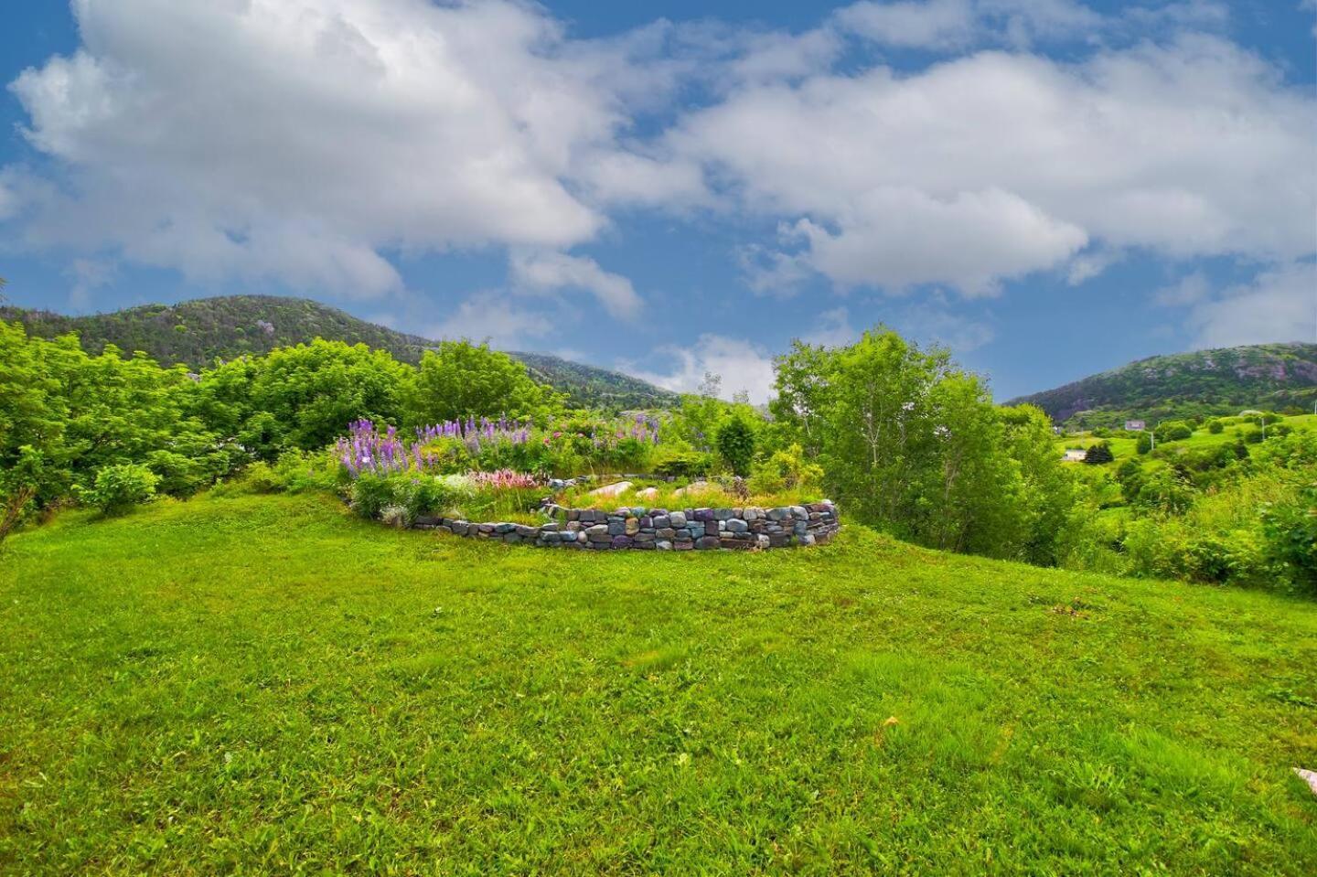 הוילה סנט ג'ונס The Vista At Quidi Vidi - Stunning Views & Trails מראה חיצוני תמונה